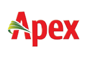 Apex